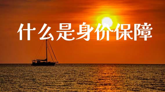 什么是身价保障_https://www.fsyjjx.cn_股指期货_第1张