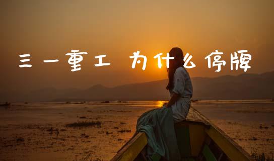 三一重工 为什么停牌_https://www.fsyjjx.cn_股市分析_第1张