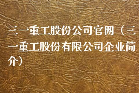 三一重工股份公司官网（三一重工股份有限公司企业简介）_https://www.fsyjjx.cn_股指期货_第1张