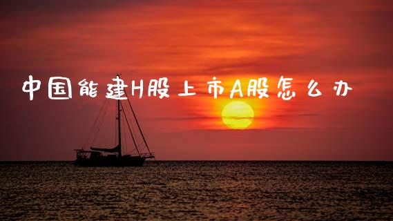 中国能建H股上市A股怎么办_https://www.fsyjjx.cn_股票指导_第1张