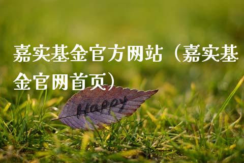 嘉实基金官方网站（嘉实基金官网首页）_https://www.fsyjjx.cn_理财资讯_第1张