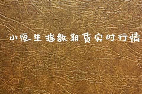 小恒生指数期货实时行情_https://www.fsyjjx.cn_期货资讯_第1张