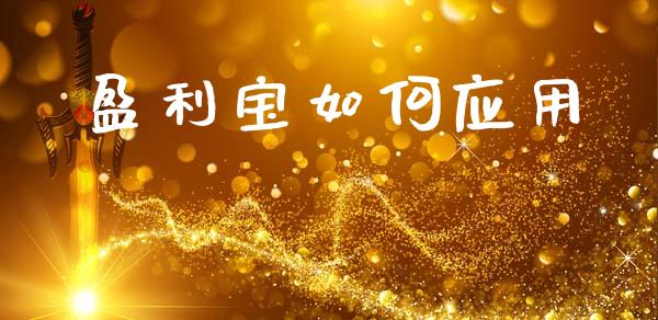 盈利宝如何应用_https://www.fsyjjx.cn_股指期货_第1张