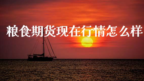 粮食期货现在行情怎么样_https://www.fsyjjx.cn_期货研报_第1张