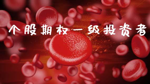 个股期权一级投资者_https://www.fsyjjx.cn_期货在线_第1张