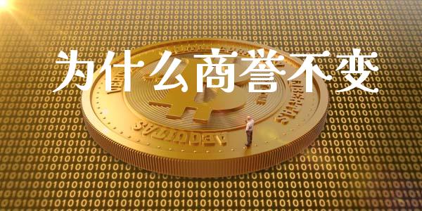 为什么商誉不变_https://www.fsyjjx.cn_期货在线_第1张
