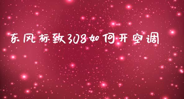 东风标致308如何开空调_https://www.fsyjjx.cn_理财资讯_第1张