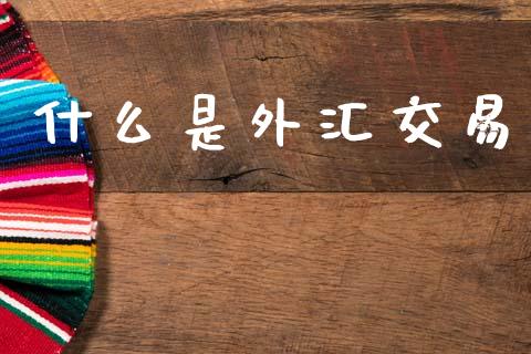 什么是外汇交易_https://www.fsyjjx.cn_股指期货_第1张