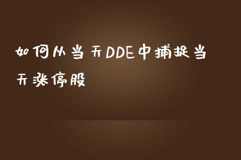 如何从当天DDE中捕捉当天涨停股_https://www.fsyjjx.cn_股指期货_第1张