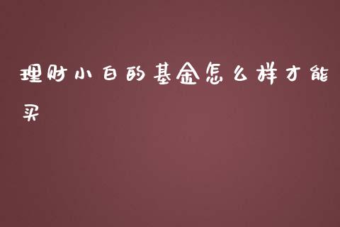 理财小白的基金怎么样才能买_https://www.fsyjjx.cn_问财精选_第1张