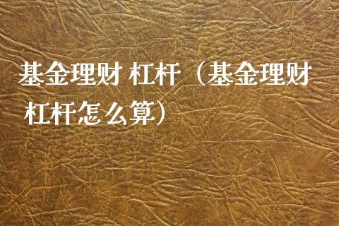 基金理财 杠杆（基金理财 杠杆怎么算）_https://www.fsyjjx.cn_问财精选_第1张