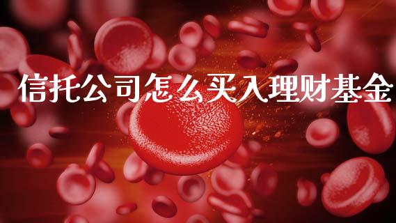 信托公司怎么买入理财基金_https://www.fsyjjx.cn_问财精选_第1张