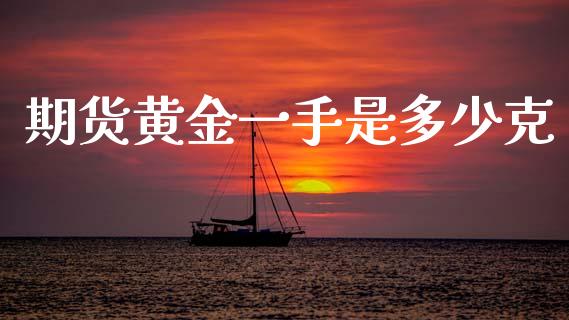 期货黄金一手是多少克_https://www.fsyjjx.cn_期货研报_第1张