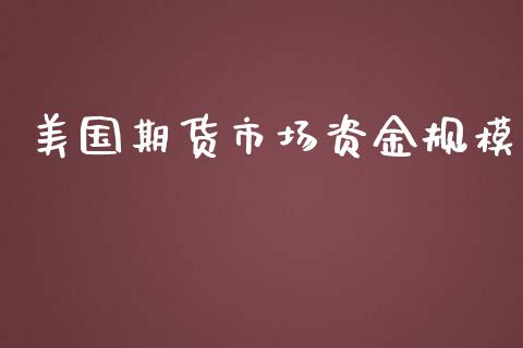 美国期货市场资金规模_https://www.fsyjjx.cn_股指期货_第1张