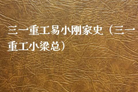 三一重工易小刚家史（三一重工小梁总）_https://www.fsyjjx.cn_股票指导_第1张