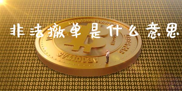 非法撤单是什么意思_https://www.fsyjjx.cn_股票指导_第1张
