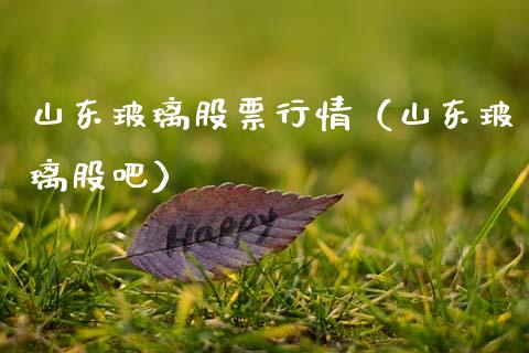 山东玻璃股票行情（山东玻璃股吧）_https://www.fsyjjx.cn_股指期货_第1张