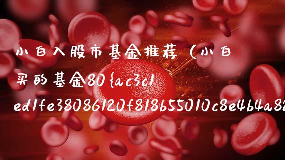小白入股市基金推荐（小白买的基金80%以上都是投资股票）_https://www.fsyjjx.cn_问财精选_第1张