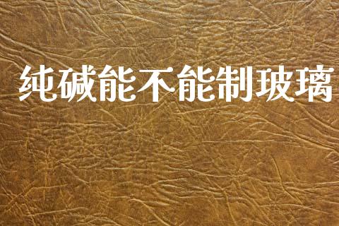 纯碱能不能制玻璃_https://www.fsyjjx.cn_期货研报_第1张