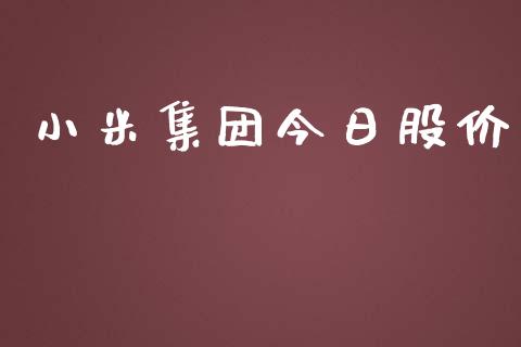 小米集团今日股价_https://www.fsyjjx.cn_期货研报_第1张