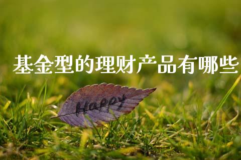 基金型的理财产品有哪些_https://www.fsyjjx.cn_问财精选_第1张