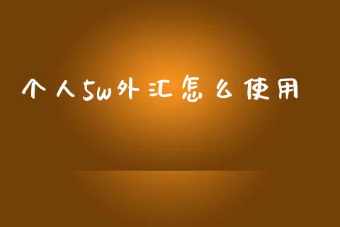 个人5w外汇怎么使用_https://www.fsyjjx.cn_问财精选_第1张