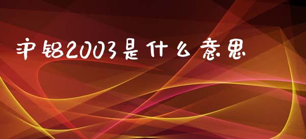 沪铝2003是什么意思_https://www.fsyjjx.cn_股票指导_第1张