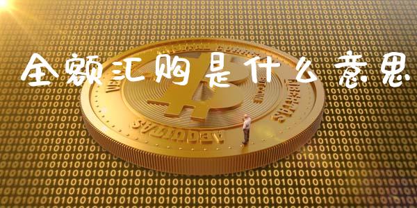 全额汇购是什么意思_https://www.fsyjjx.cn_股票指导_第1张