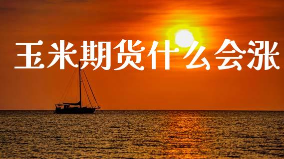 玉米期货什么会涨_https://www.fsyjjx.cn_股市分析_第1张