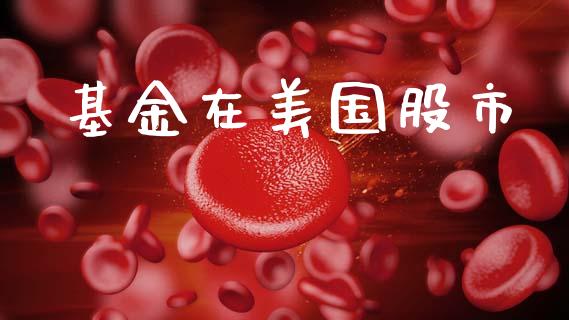 基金在美国股市_https://www.fsyjjx.cn_问财精选_第1张