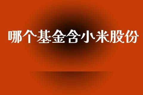 哪个基金含小米股份_https://www.fsyjjx.cn_期货在线_第1张