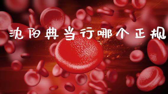 沈阳典当行哪个正规_https://www.fsyjjx.cn_期货研报_第1张