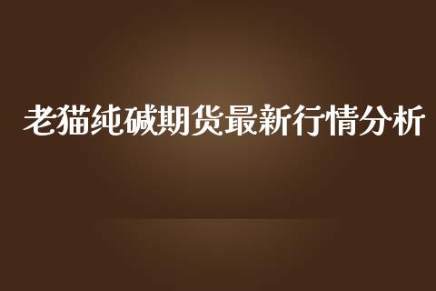 老猫纯碱期货最新行情分析_https://www.fsyjjx.cn_期货资讯_第1张