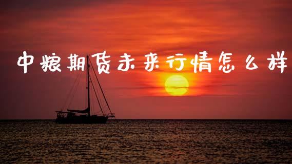 中粮期货未来行情怎么样_https://www.fsyjjx.cn_期货资讯_第1张