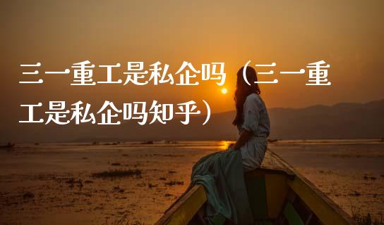 三一重工是私企吗（三一重工是私企吗知乎）_https://www.fsyjjx.cn_股市分析_第1张