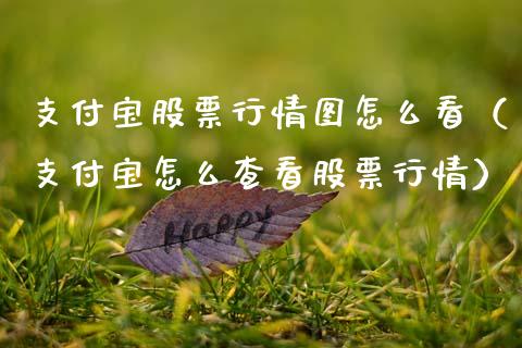 支付宝股票行情图怎么看（支付宝怎么查看股票行情）_https://www.fsyjjx.cn_股指期货_第1张