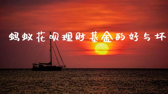 蚂蚁花呗理财基金的好与坏_https://www.fsyjjx.cn_问财精选_第1张