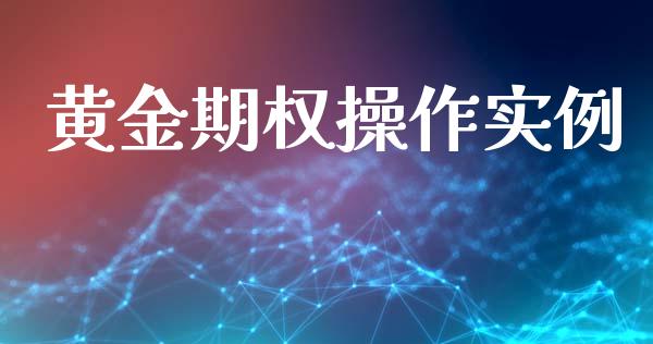 黄金期权操作实例_https://www.fsyjjx.cn_股票指导_第1张