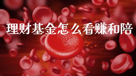 理财基金怎么看赚和陪_https://www.fsyjjx.cn_理财资讯_第1张