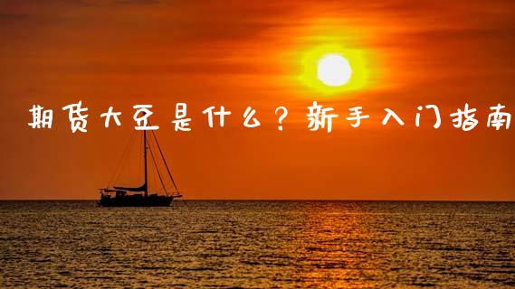 期货大豆是什么？新手入门指南_https://www.fsyjjx.cn_期货研报_第1张