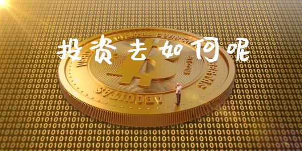 投资去如何呢_https://www.fsyjjx.cn_股票指导_第1张