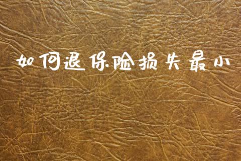 如何退保险损失最小_https://www.fsyjjx.cn_问财精选_第1张
