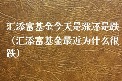 汇添富基金今天是涨还是跌（汇添富基金最近为什么很跌）_https://www.fsyjjx.cn_理财资讯_第1张
