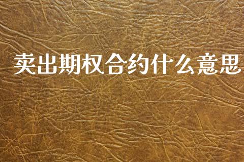 卖出期权合约什么意思_https://www.fsyjjx.cn_股指期货_第1张