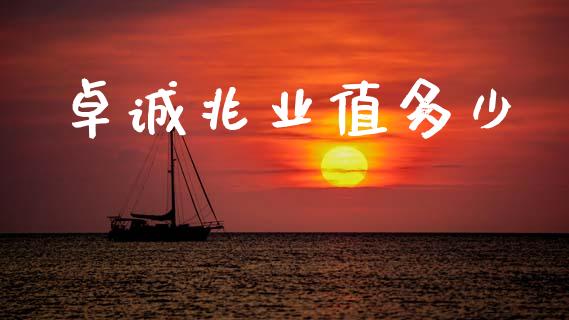 卓诚兆业值多少_https://www.fsyjjx.cn_期货资讯_第1张