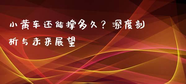 小黄车还能撑多久？深度剖析与未来展望_https://www.fsyjjx.cn_股票指导_第1张