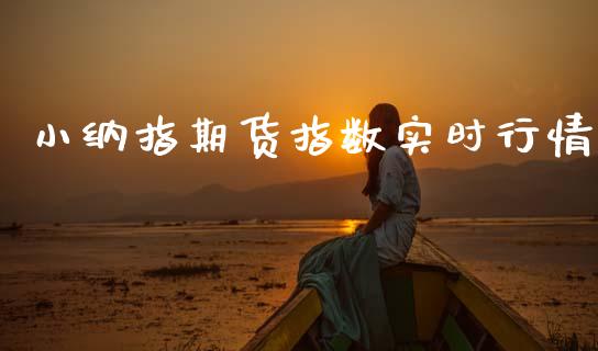小纳指期货指数实时行情_https://www.fsyjjx.cn_期货研报_第1张