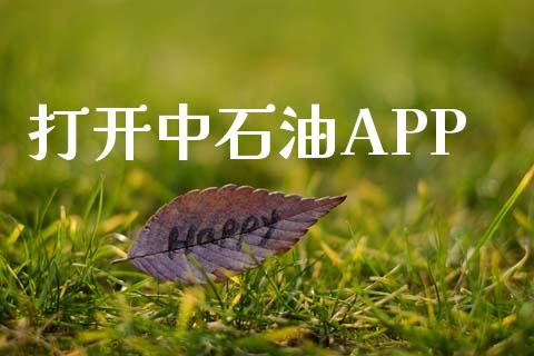 打开中石油APP_https://www.fsyjjx.cn_期货在线_第1张
