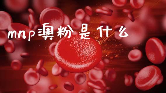 mnp澳粉是什么_https://www.fsyjjx.cn_股指期货_第1张
