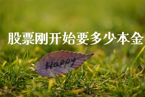 股票刚开始要多少本金_https://www.fsyjjx.cn_期货研报_第1张
